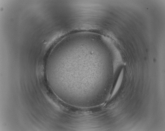 X0000065260683200602242115