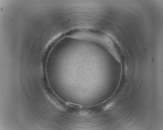 X0000065260684200602242115