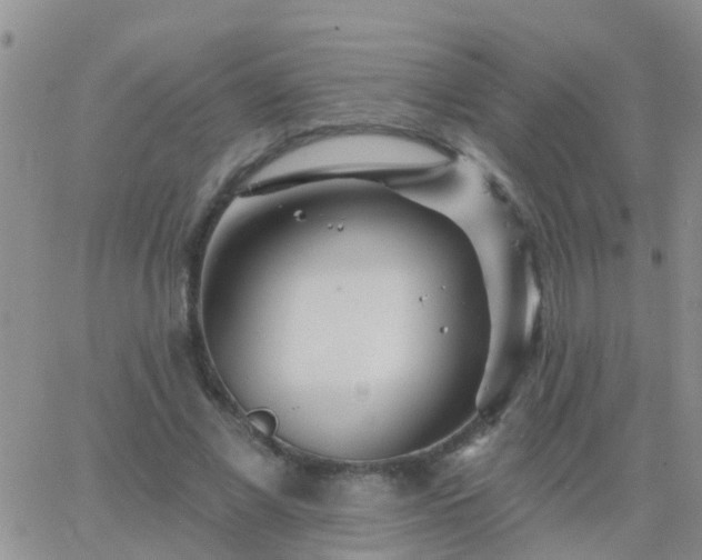 X0000065260685200602242115