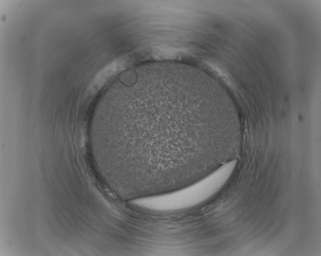 X0000065260687200602242115