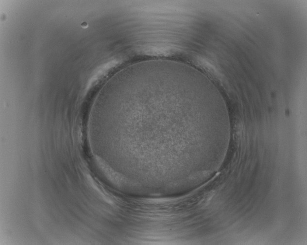 X0000065260688200602242115