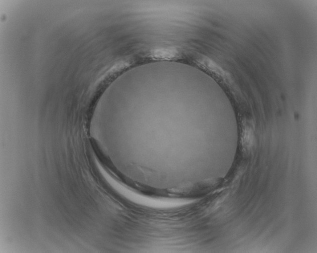 X0000065260689200602242115