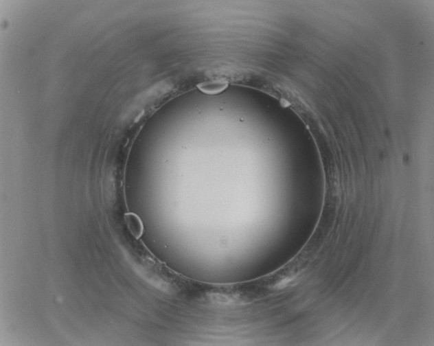 X0000065260690200602242115