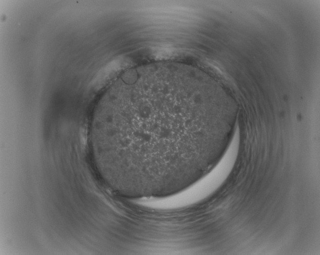 X0000065260691200602242115