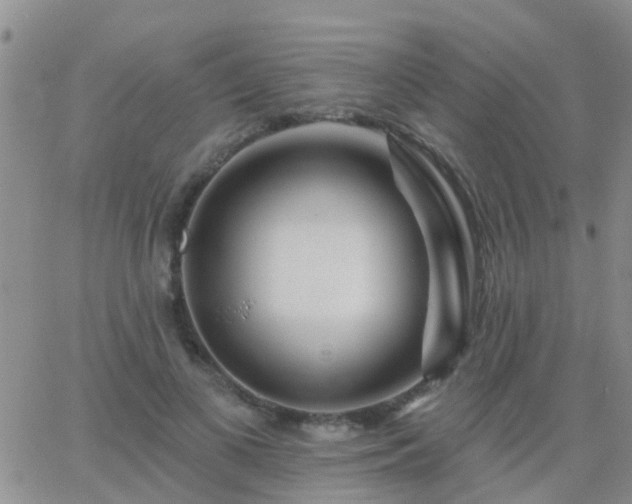 X0000065260693200602242115