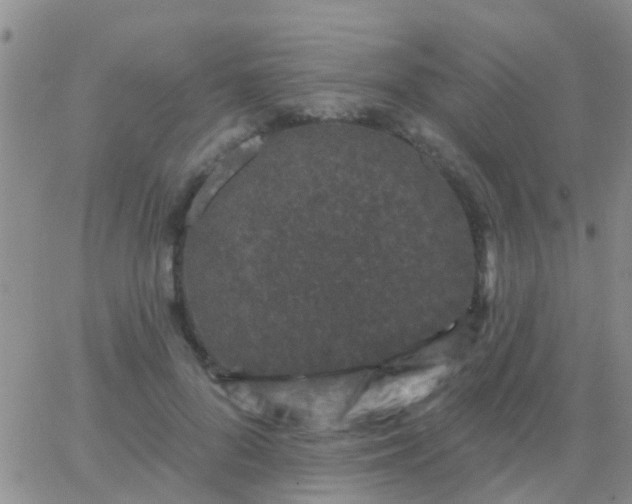 X0000065260696200602242115