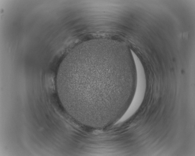 X0000065260699200602242115