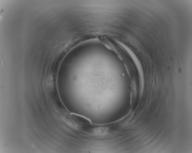 X0000065260700200602242115