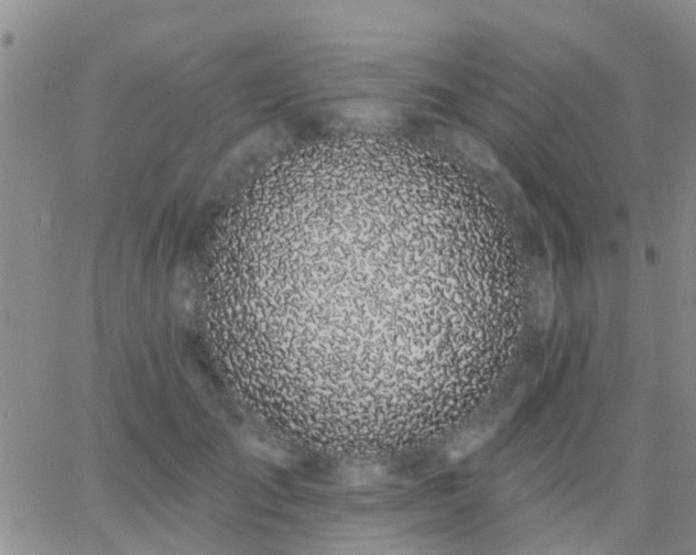 X0000065260701200602242115