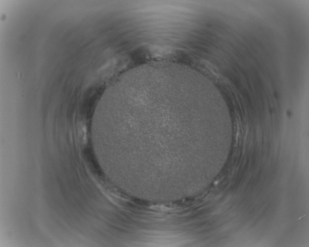 X0000065260703200602242115