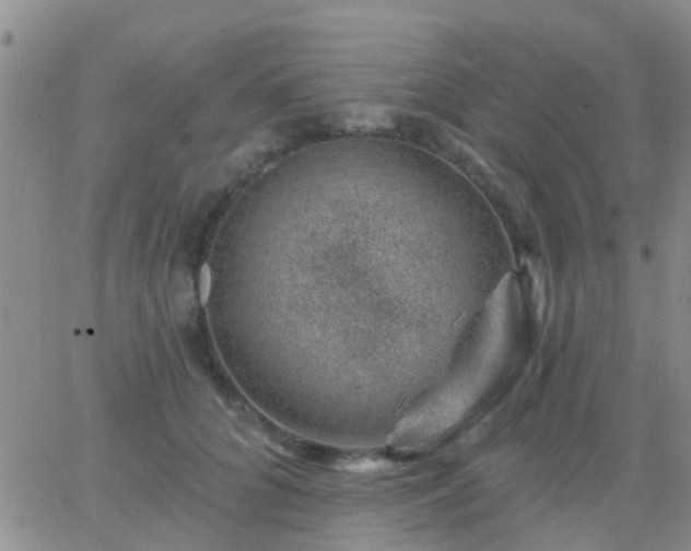 X0000065260704200602242115