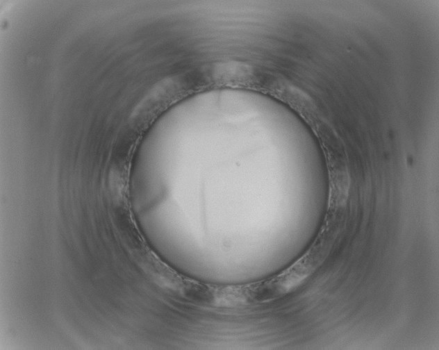 X0000065260705200602242115