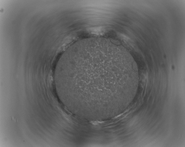 X0000065260707200602242115