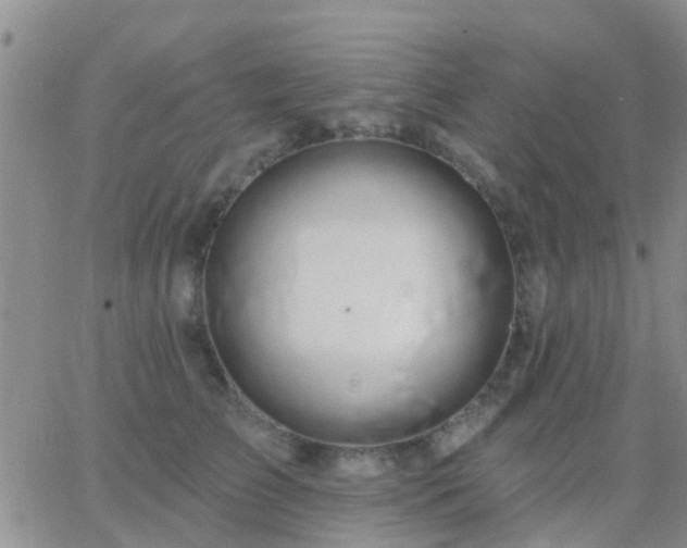 X0000065260709200602242115