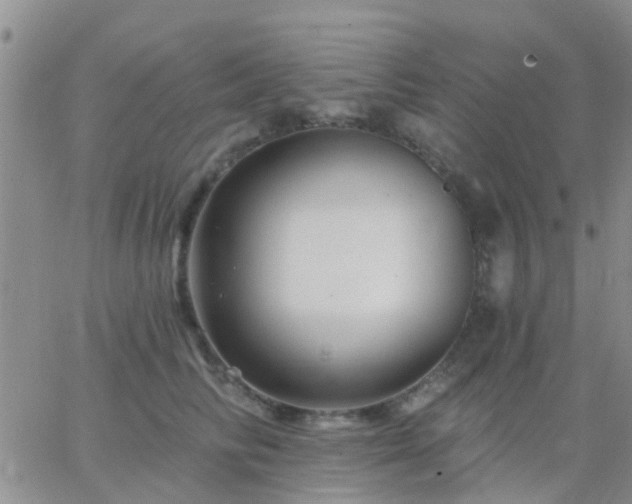 X0000065260710200602242115