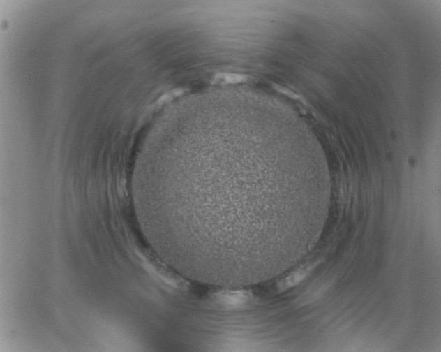 X0000065260711200602242115