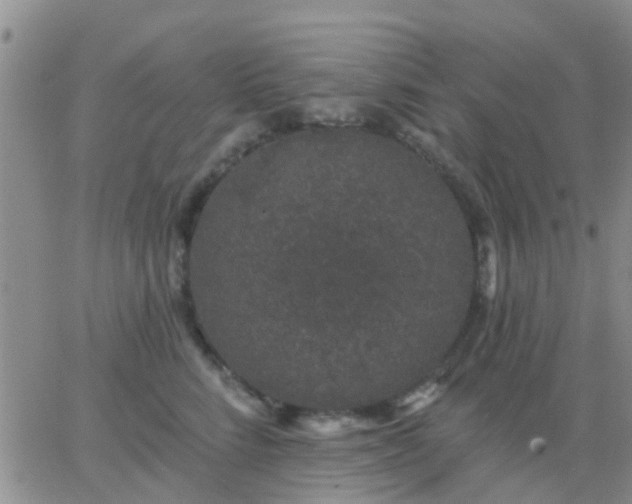 X0000065260712200602242115