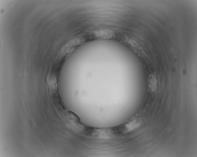 X0000065260713200602242115