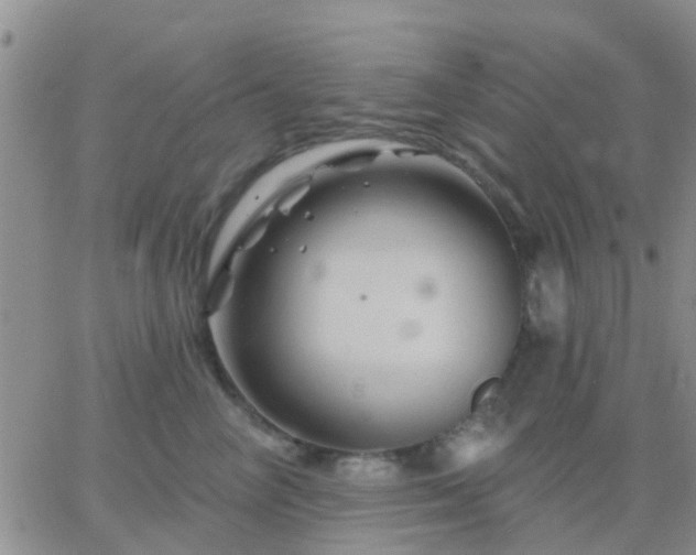 X0000065260714200602242115