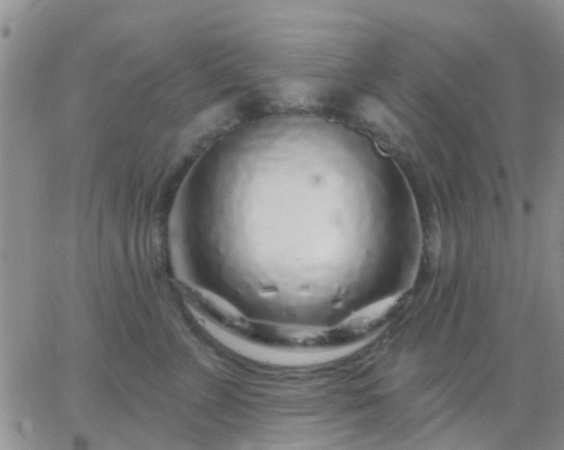 X0000065260715200602242115