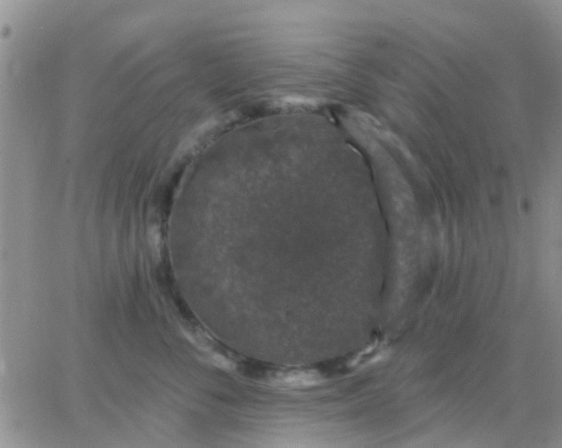 X0000065260716200602242115