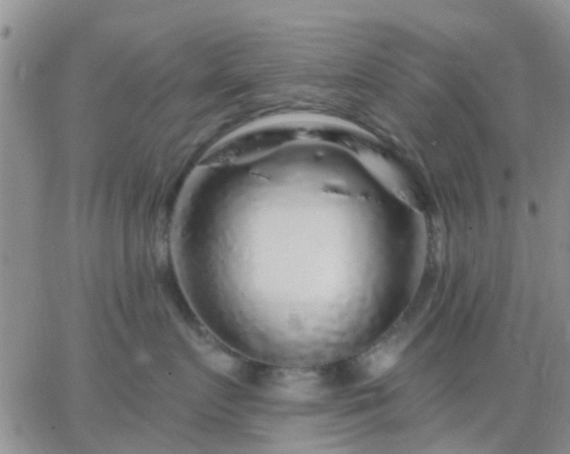 X0000065260719200602242115