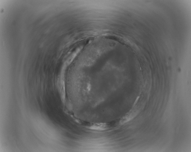 X0000065260720200602242115