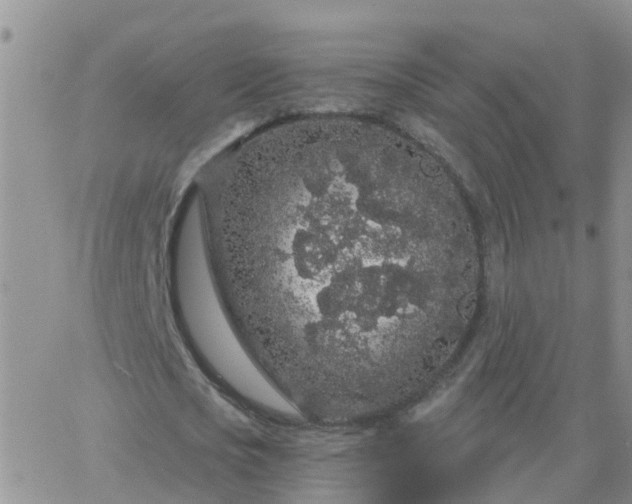 X0000065260721200602242114