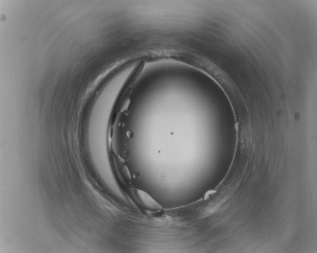 X0000065260722200602242114