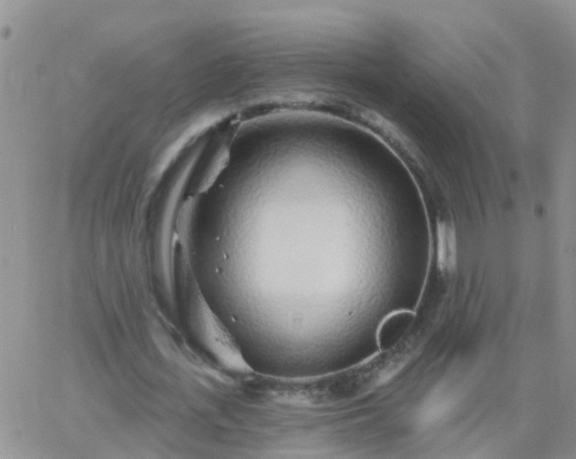 X0000065260723200602242114