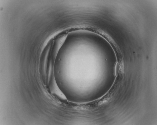 X0000065260724200602242114