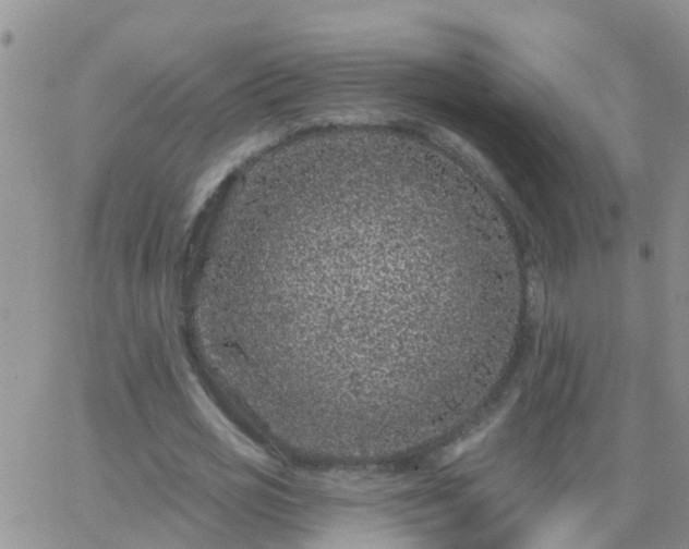 X0000065260725200602242114