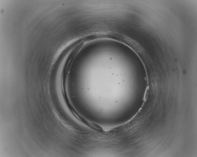 X0000065260728200602242114