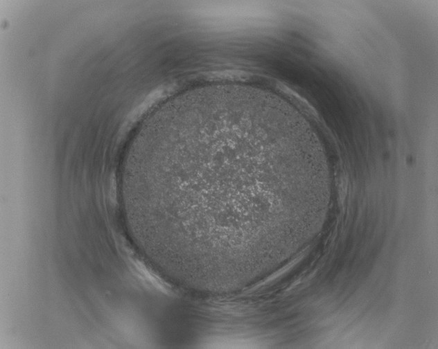 X0000065260729200602242114