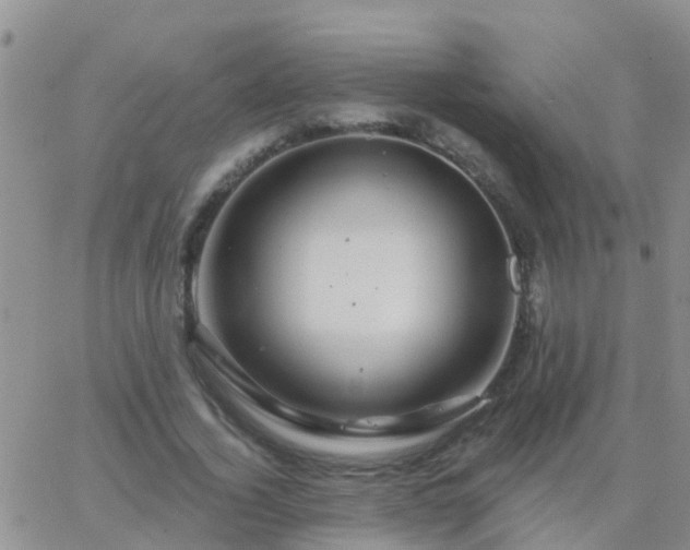 X0000065260732200602242114