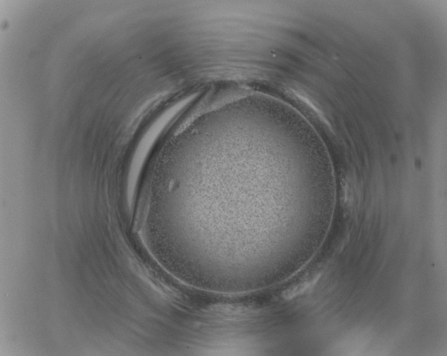 X0000065260733200602242114