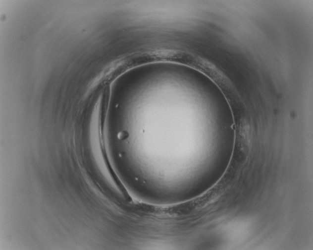 X0000065260734200602242114