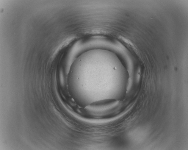 X0000065260735200602242114