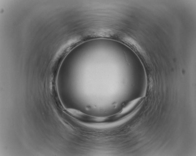 X0000065260736200602242114