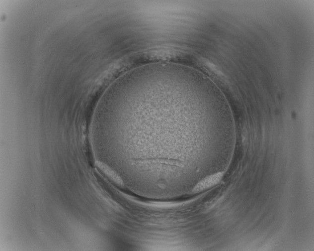 X0000065260737200602242114