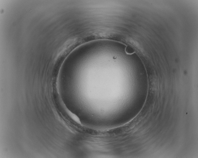 X0000065260738200602242114