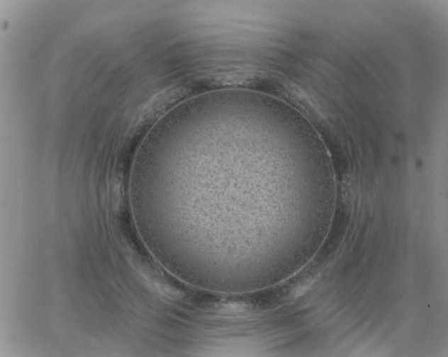 X0000065260741200602242114