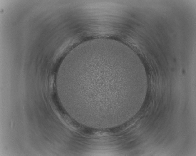 X0000065260742200602242114