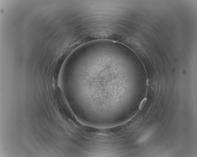 X0000065260743200602242114