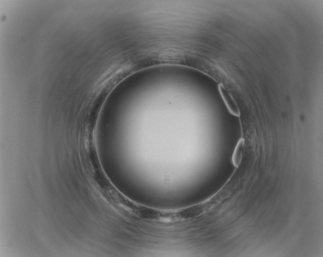 X0000065260744200602242114