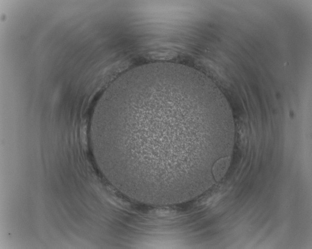 X0000065260745200602242114