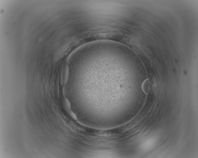 X0000065260746200602242114