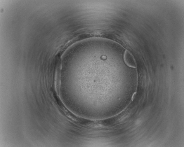 X0000065260747200602242114