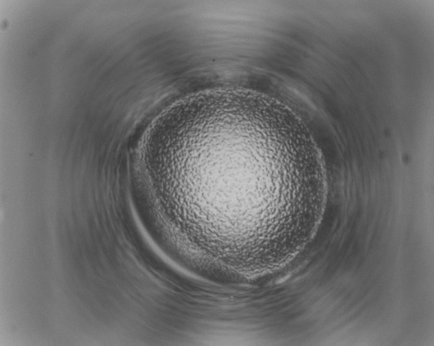 X0000065260748200602242114