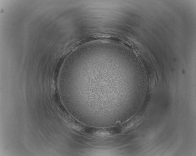 X0000065260749200602242114